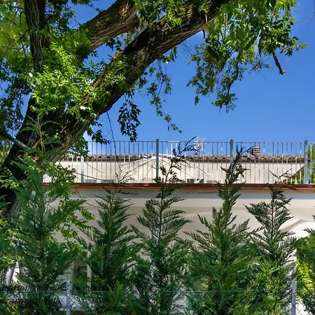 Elena Villa *